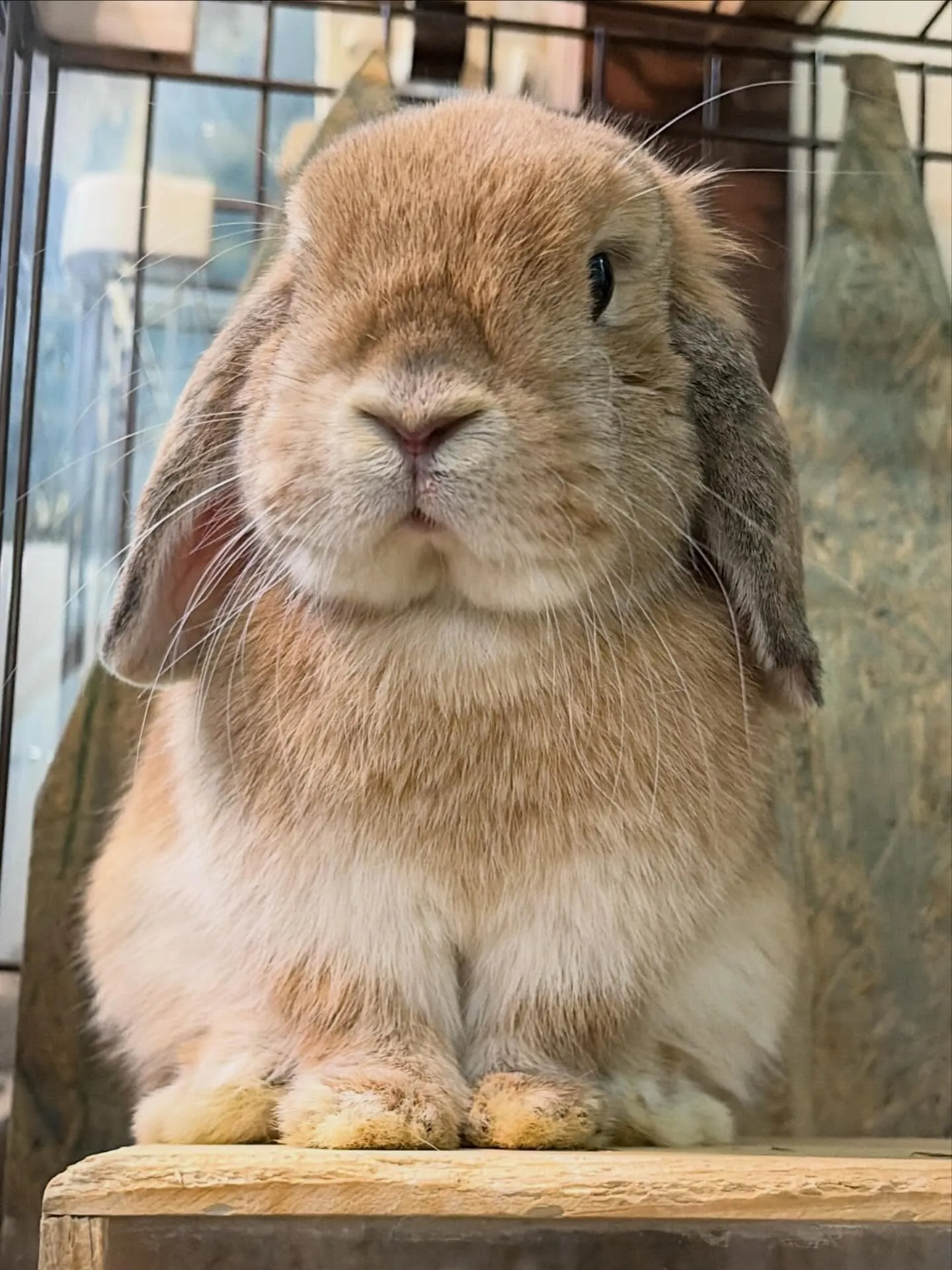 ⭐︎ベスポジ⭐︎