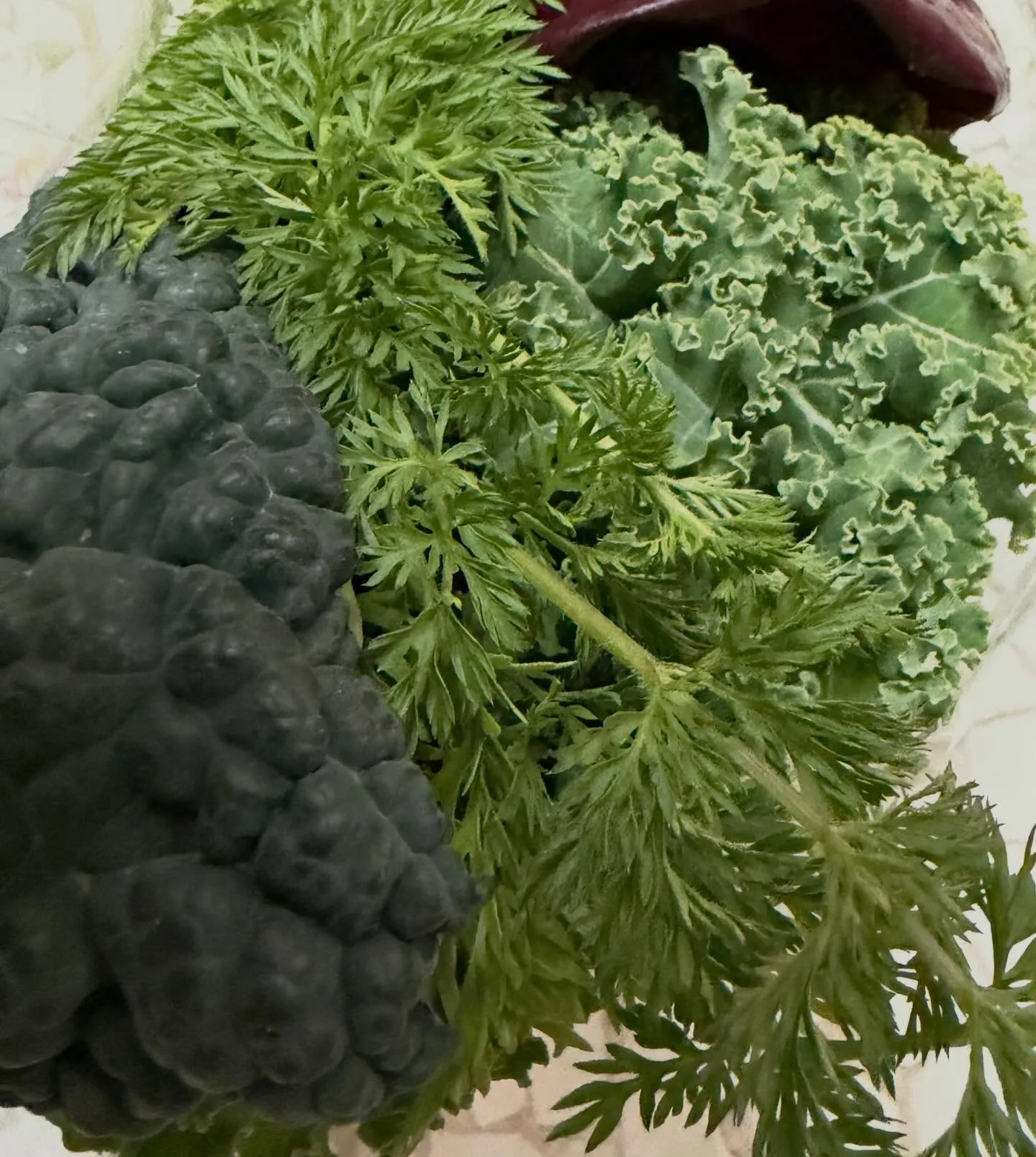 ⭐︎ラキテ産⭐︎