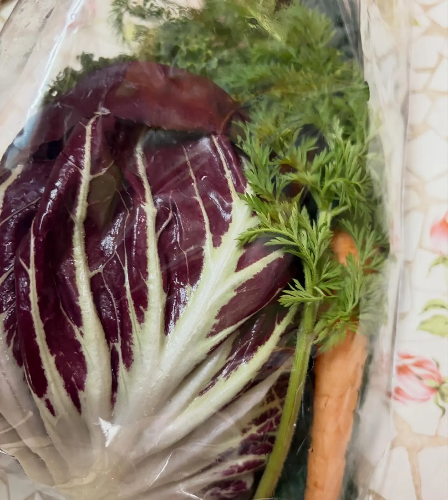 ⭐︎ラキテ産⭐︎