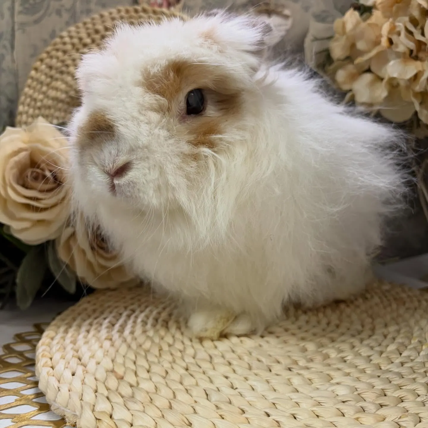 ⭐︎12歳6ヶ月⭐︎