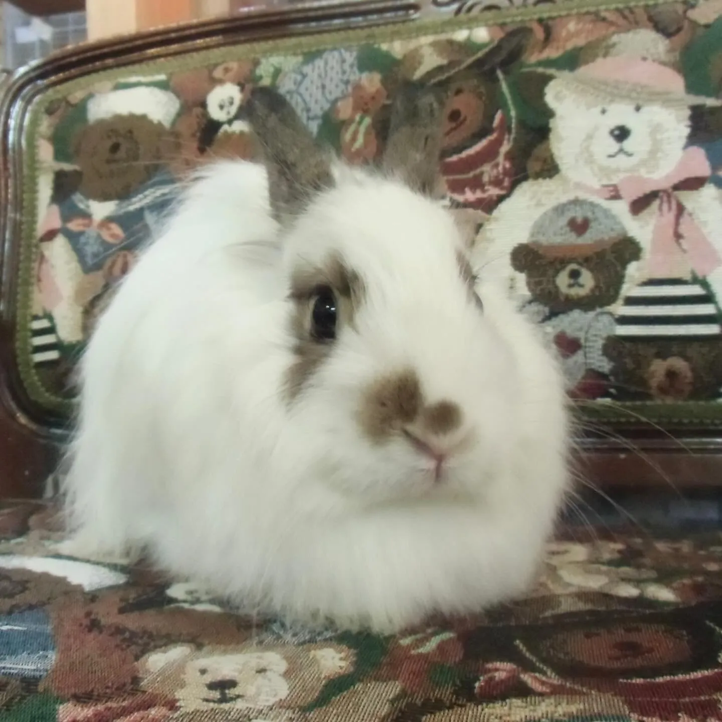 ⭐︎12歳6ヶ月⭐︎
