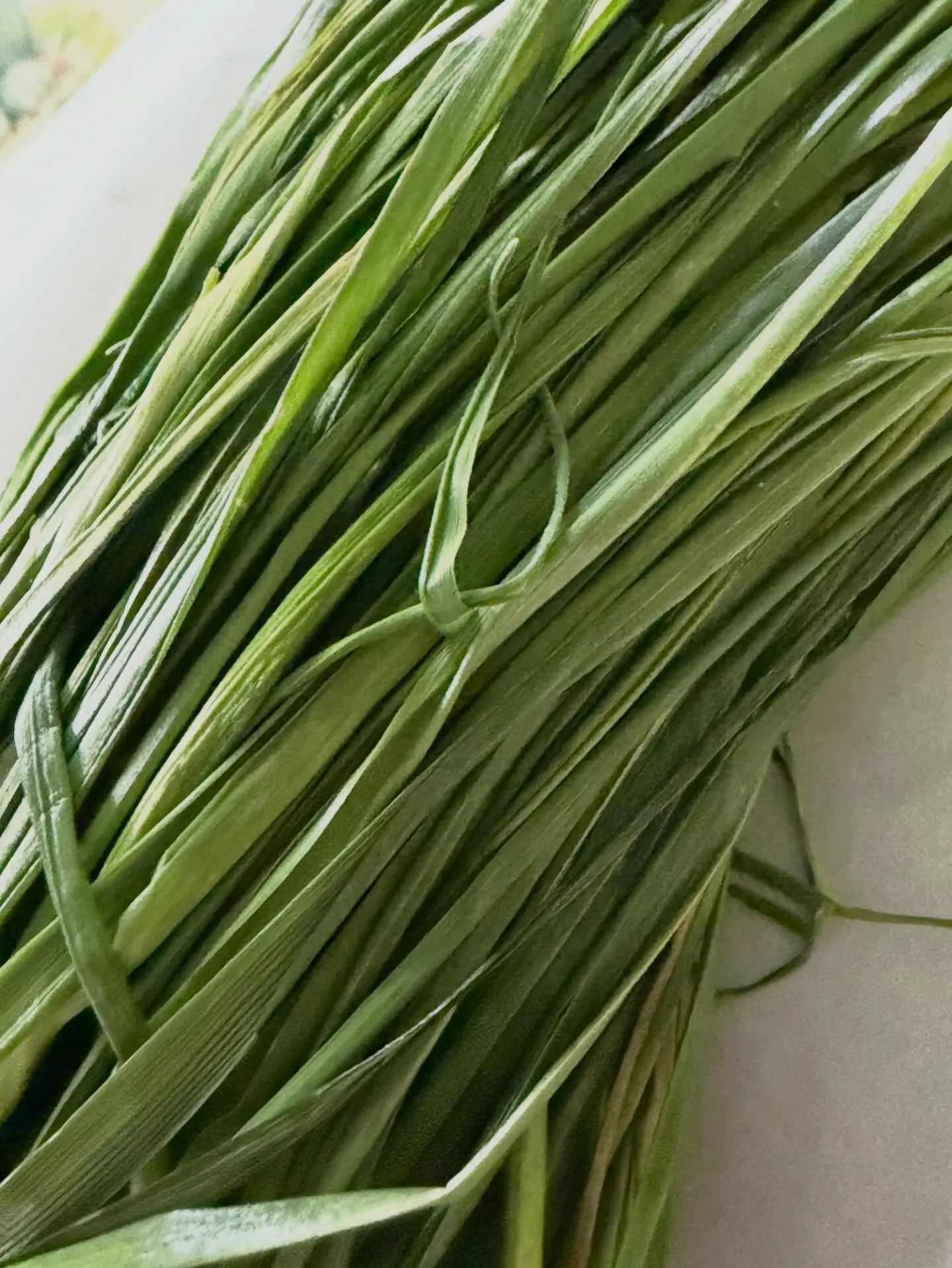 ⭐︎生イタリアン⭐︎