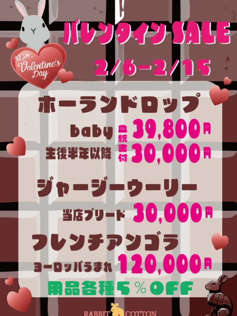 ⭐︎バレンタイン企画⭐︎