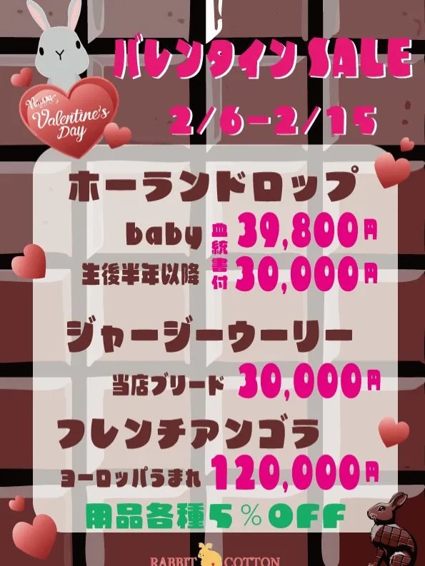 ⭐︎お迎えキャンペーン⭐︎