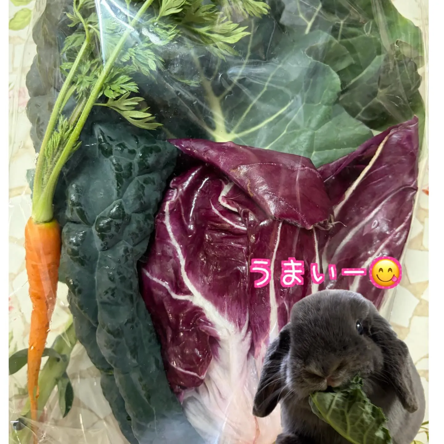 ⭐︎ラキテ葉っぱ&うさポッキー⭐︎