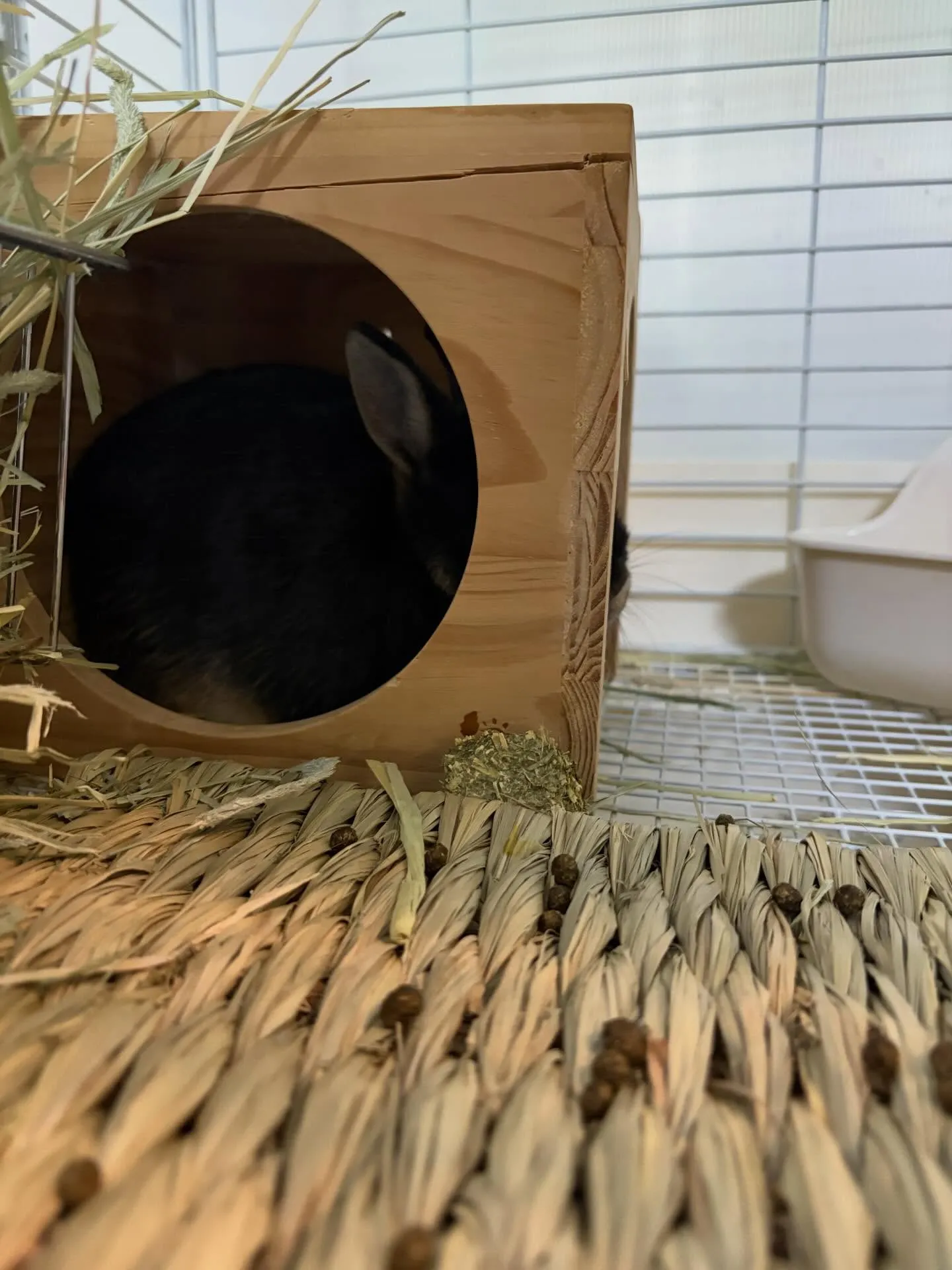 ⭐︎隠れキャラ⭐︎