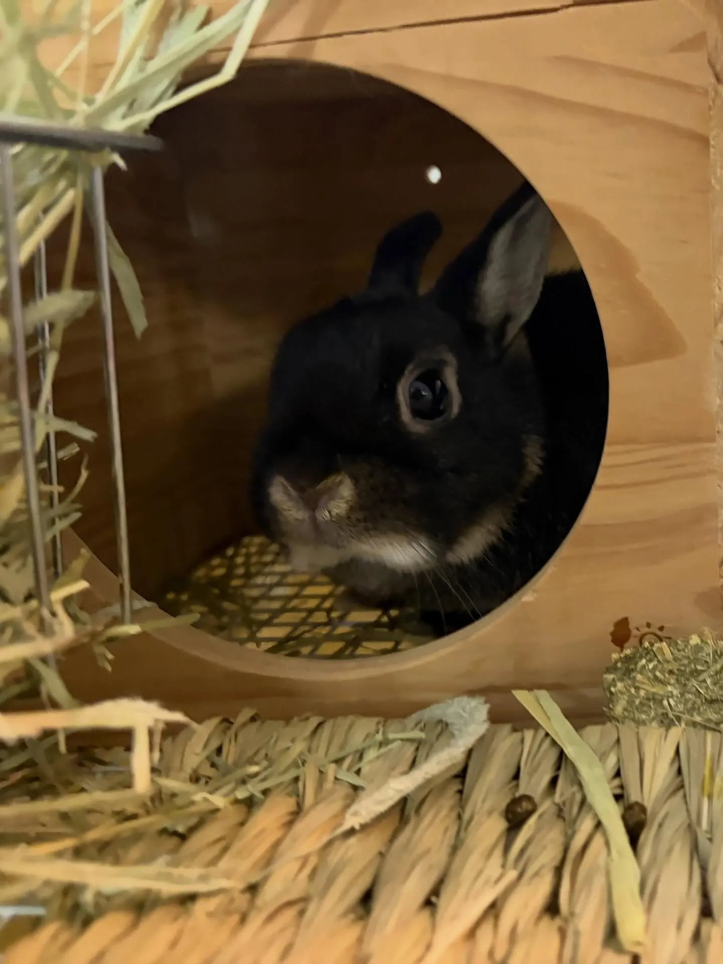 ⭐︎隠れキャラ⭐︎