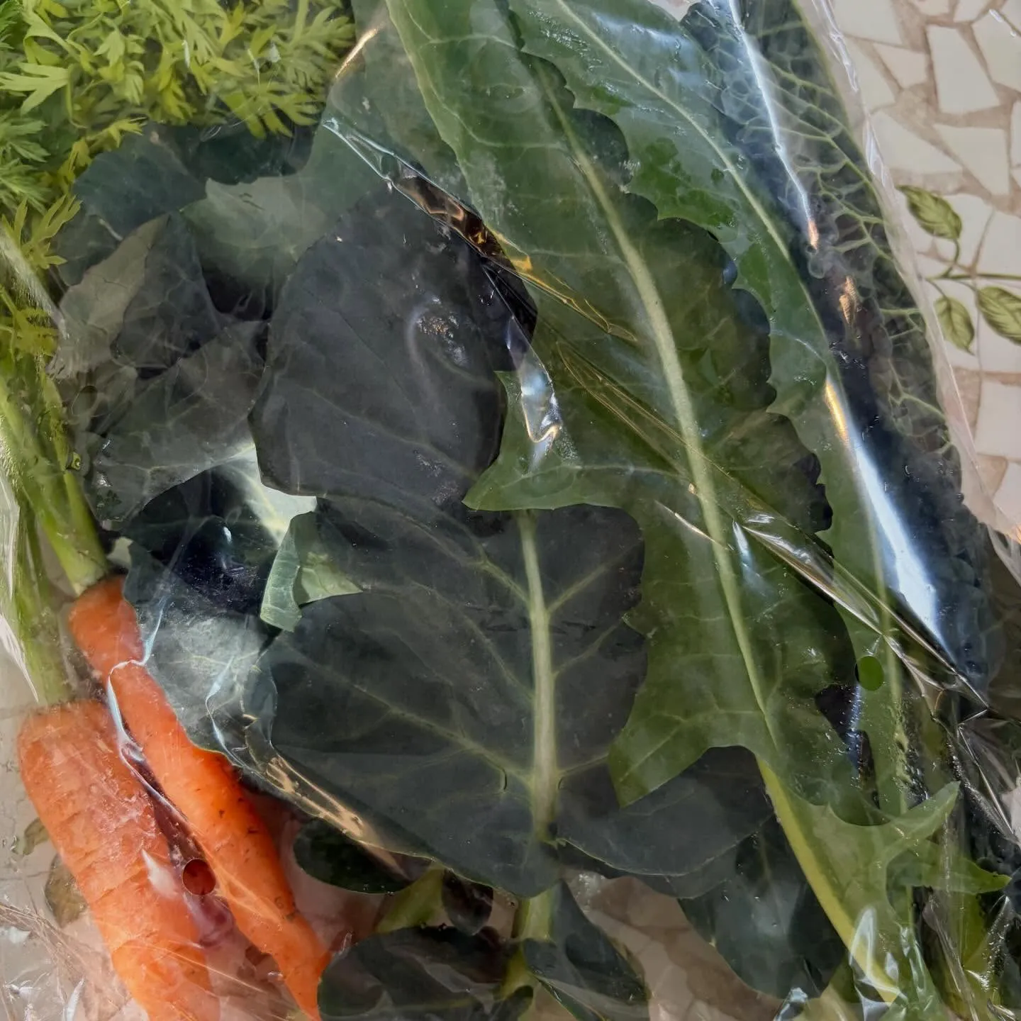 ⭐︎ラキテ葉っぱ⭐︎