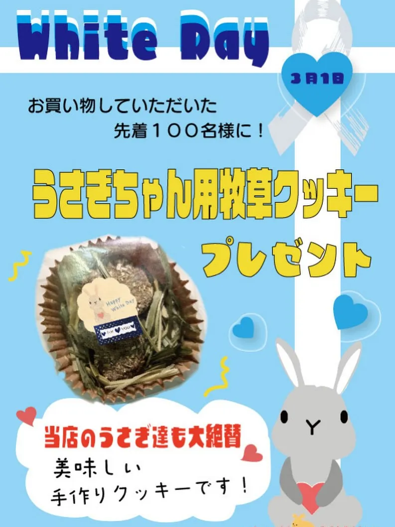 ⭐︎ホワイトデー企画⭐︎