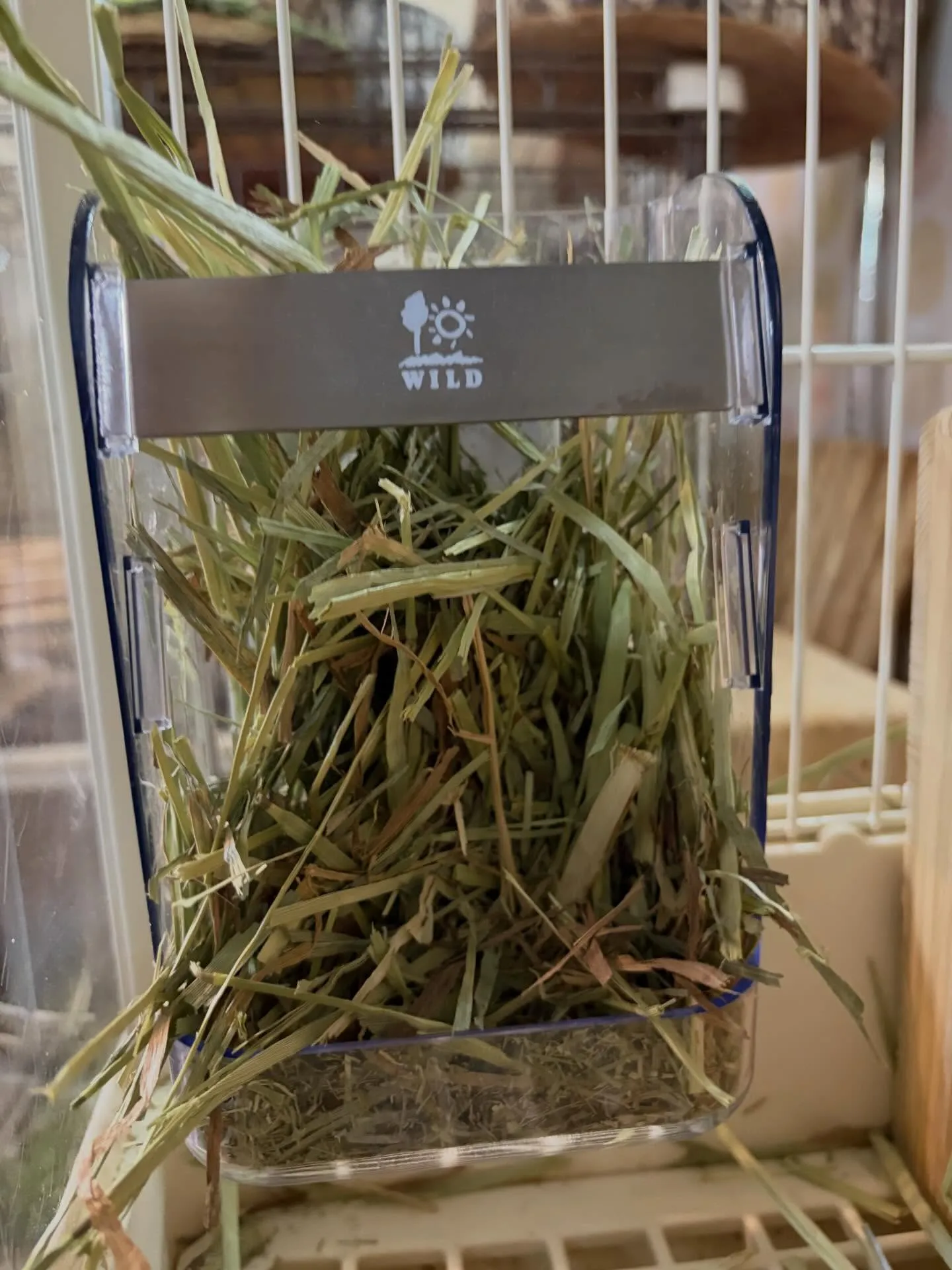 ⭐︎新商品入荷⭐︎