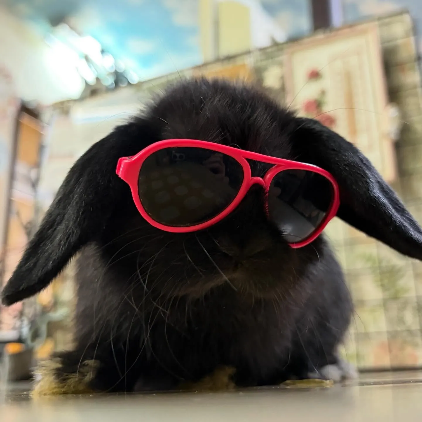 ⭐︎濃いめカラー⭐︎