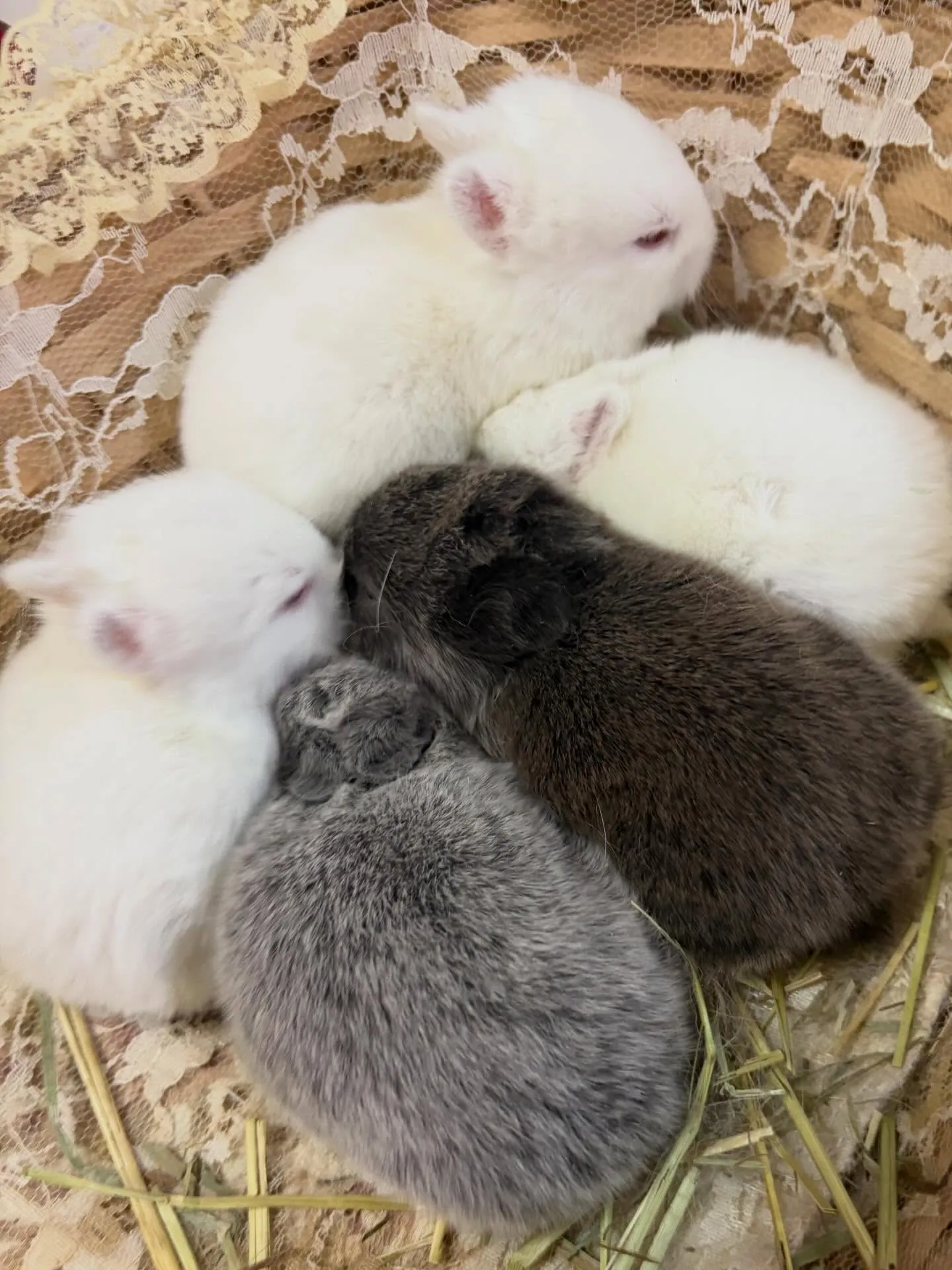 ⭐︎生後14日目育児記録⭐︎