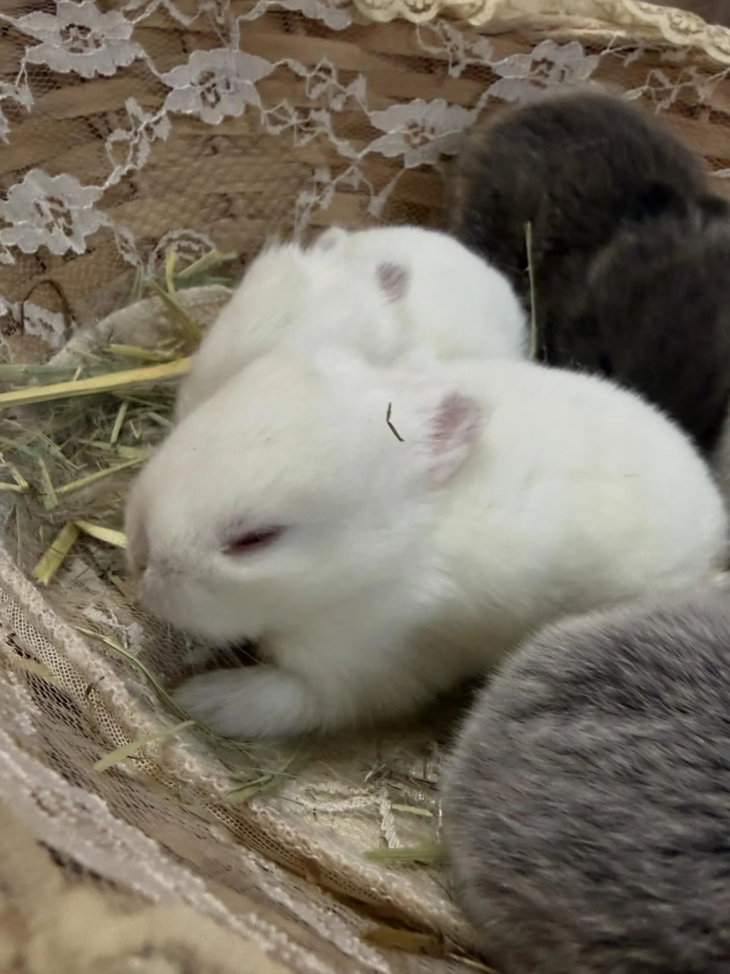 ⭐︎生後14日目育児記録⭐︎