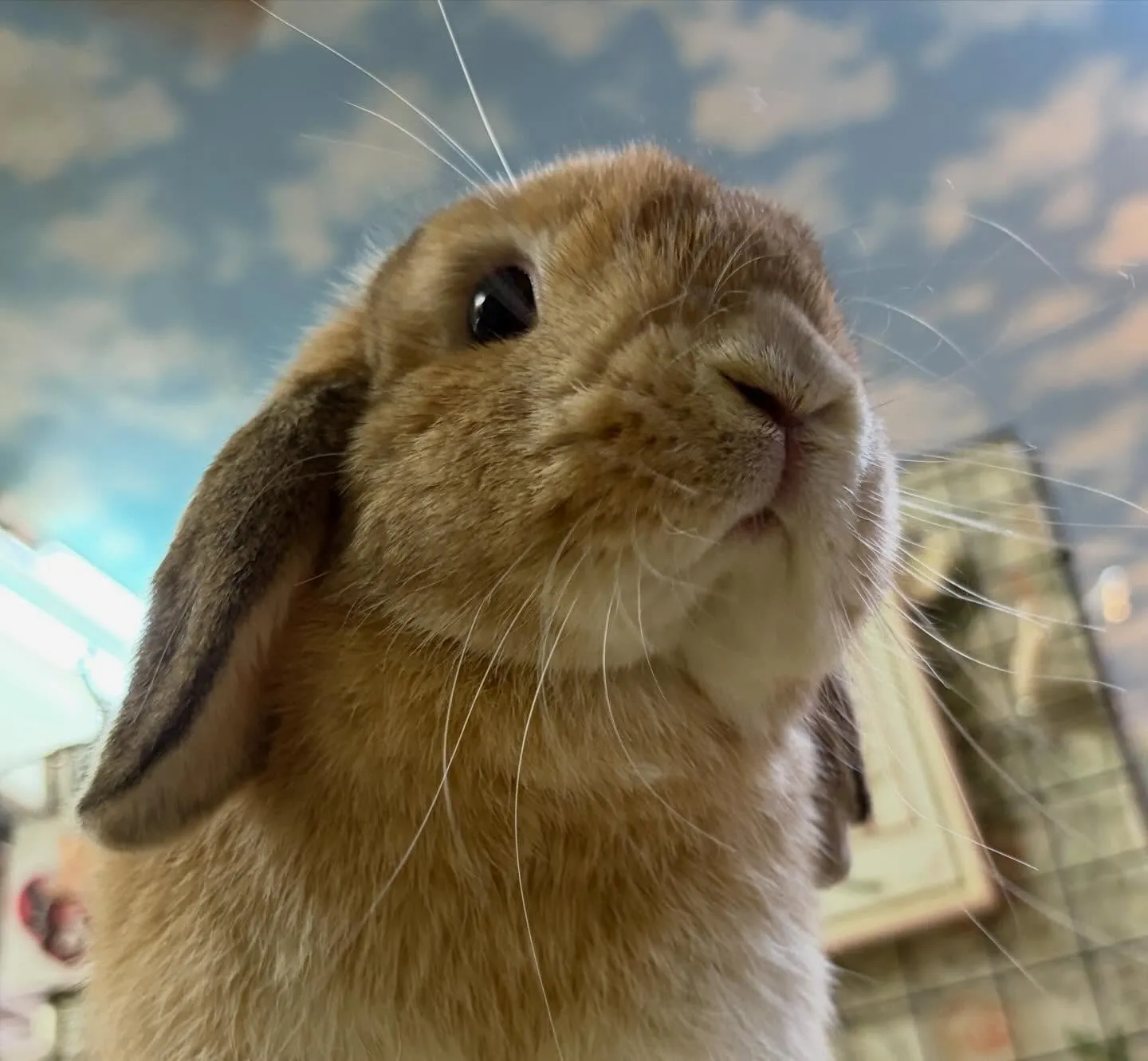 ⭐︎オレンジカラー⭐︎