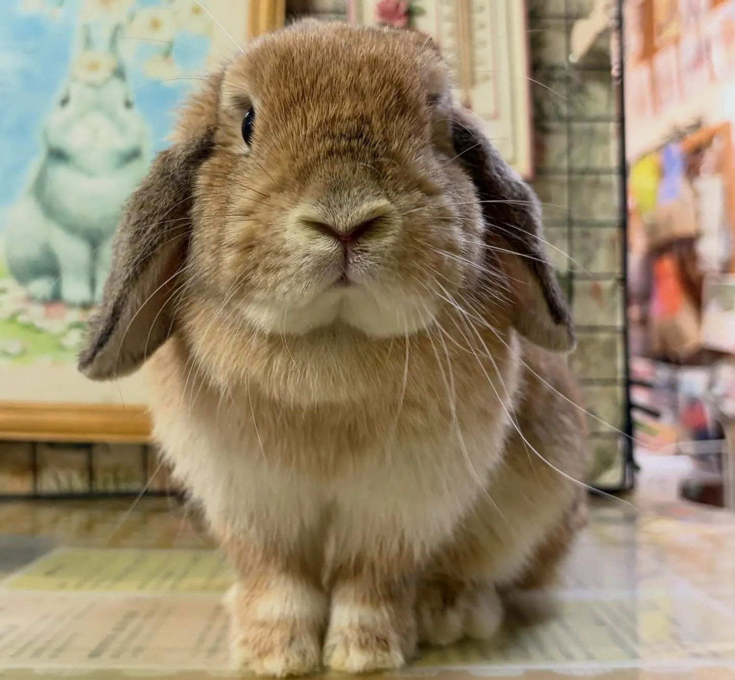 ⭐︎オレンジカラー⭐︎