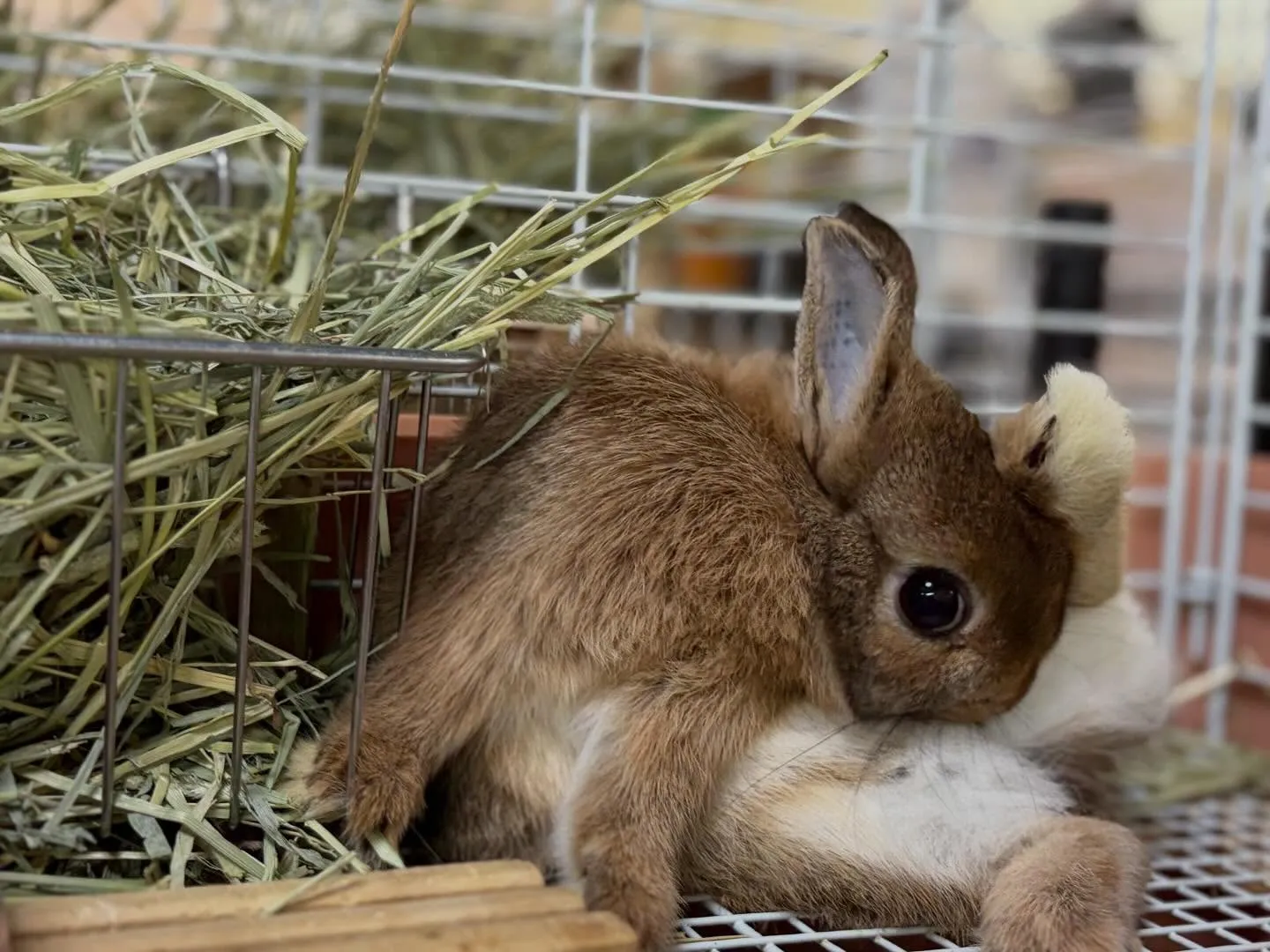 ⭐︎セクシーポーズ⭐︎