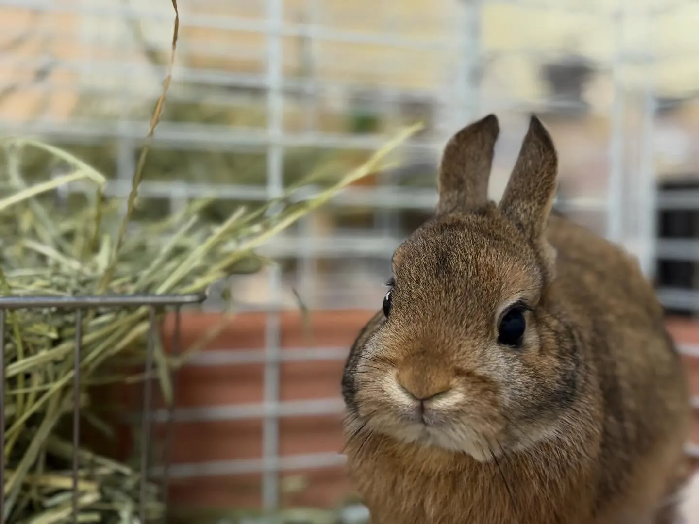 ⭐︎セクシーポーズ⭐︎