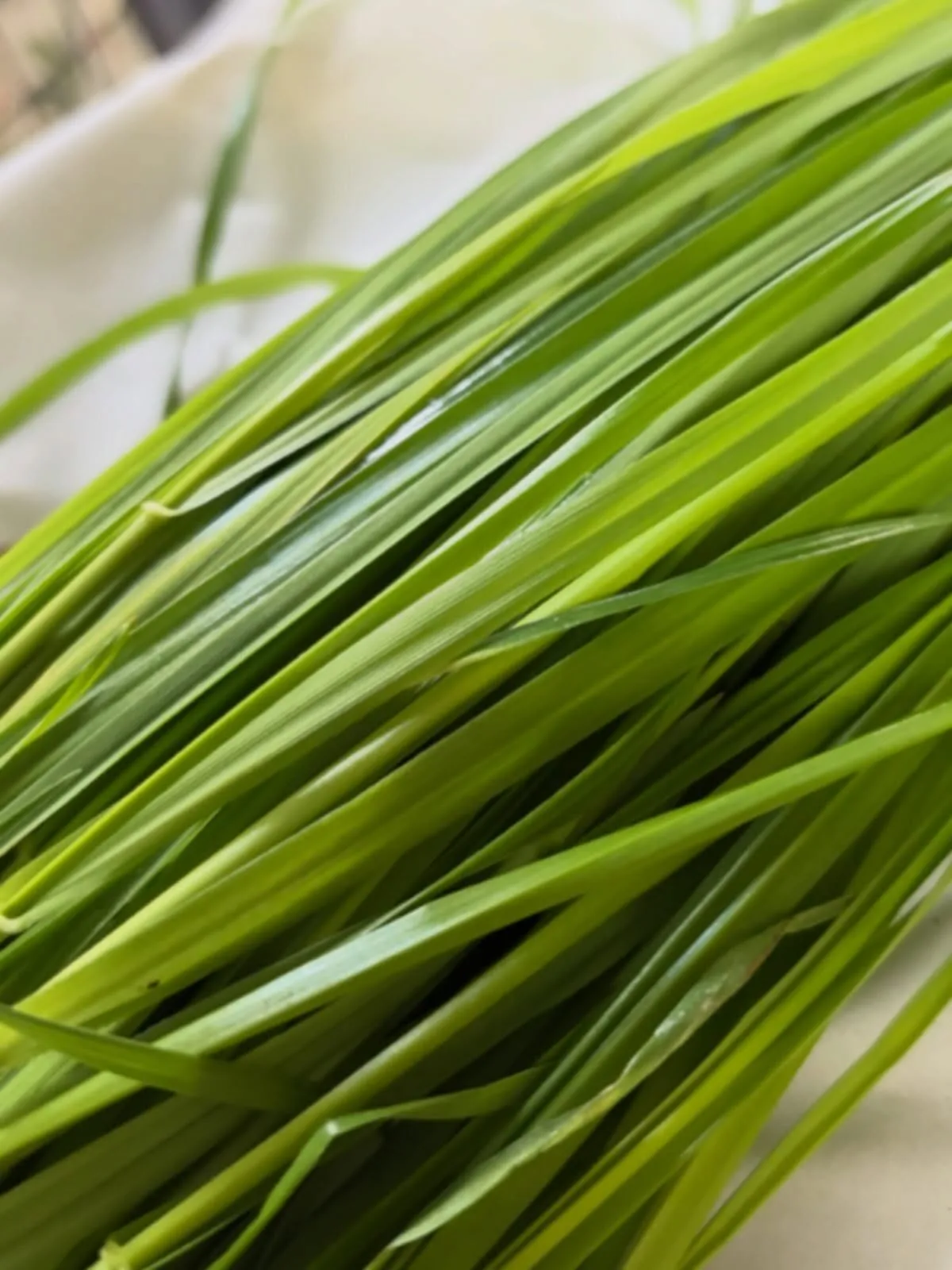 ⭐︎生イタリアン⭐︎