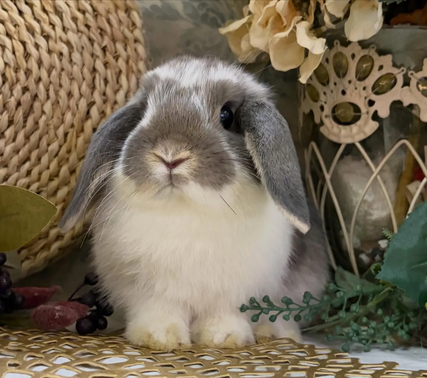 ⭐︎店頭デビュー⭐︎