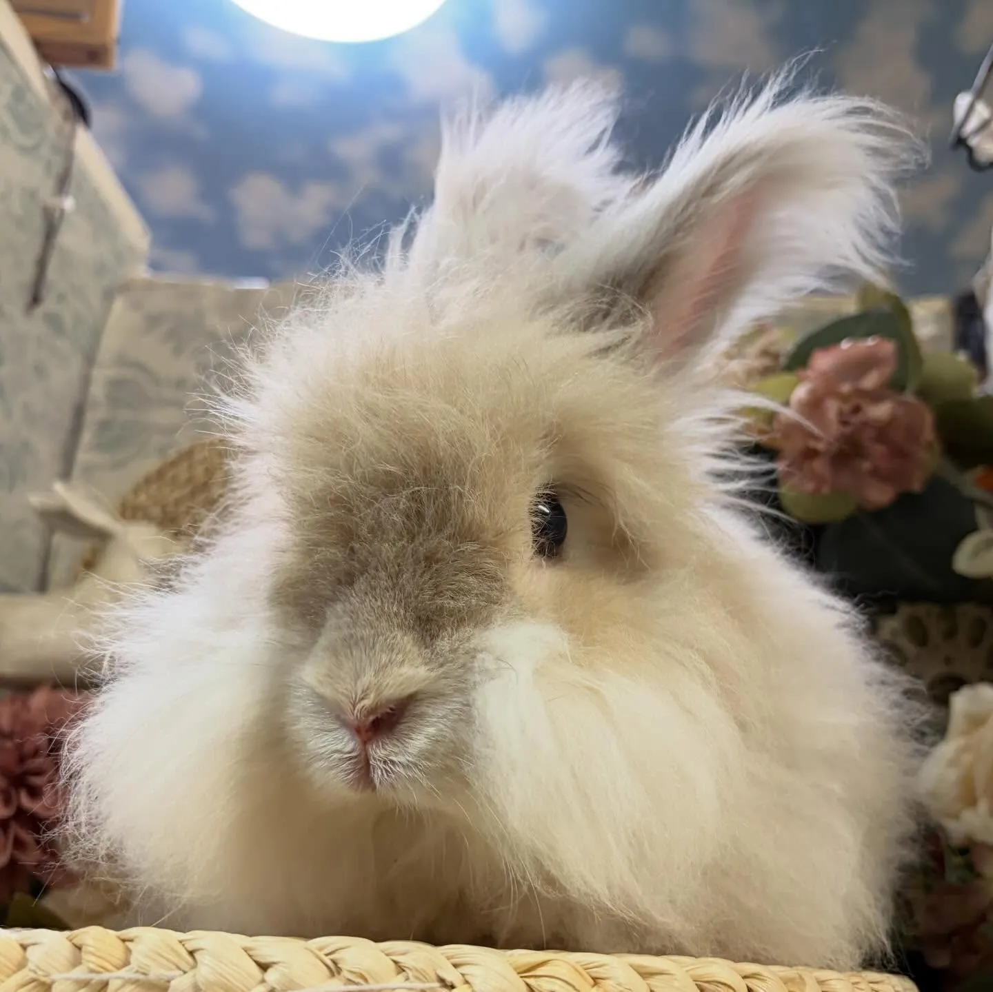 ⭐︎くもるん⭐︎