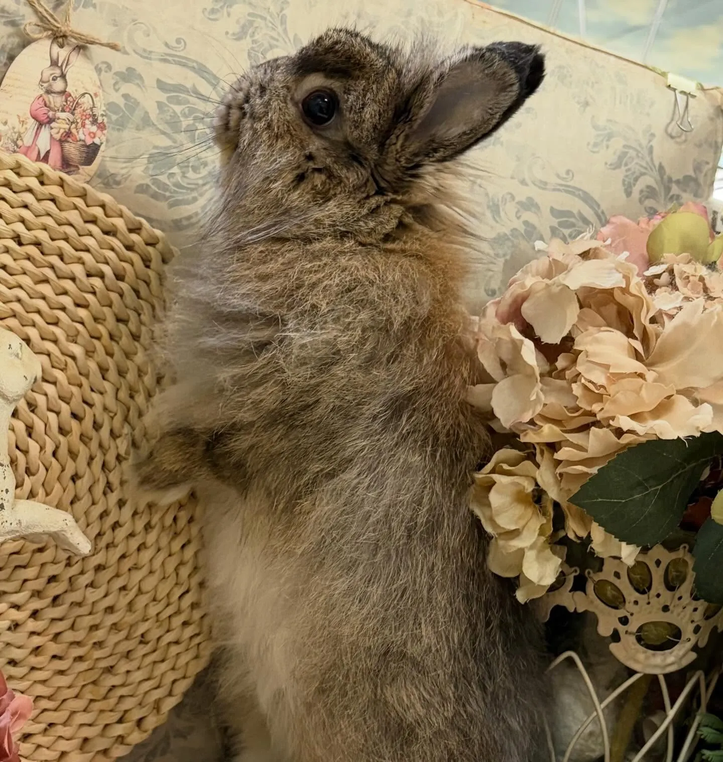 ⭐︎イケメン⭐︎