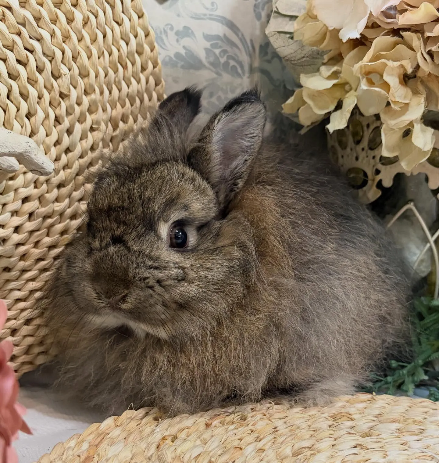 ⭐︎イケメン⭐︎