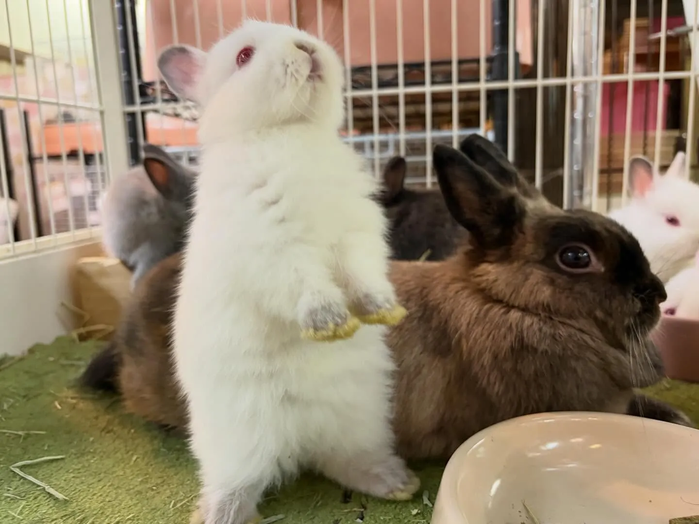 ⭐︎生後1ヶ月⭐︎