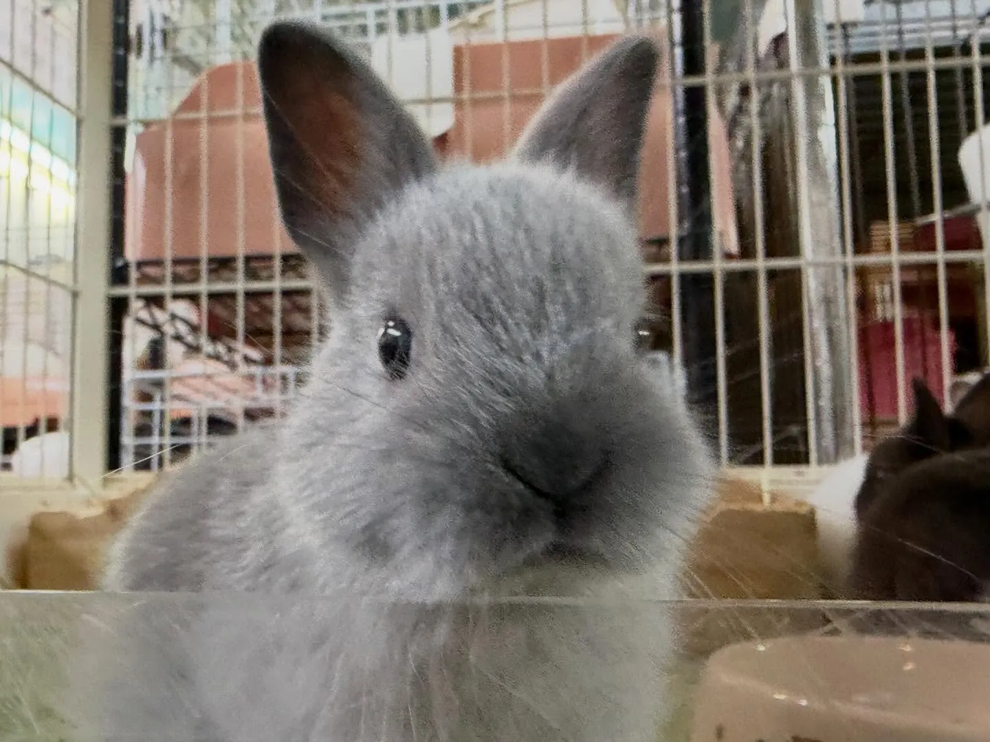 ⭐︎生後1ヶ月⭐︎