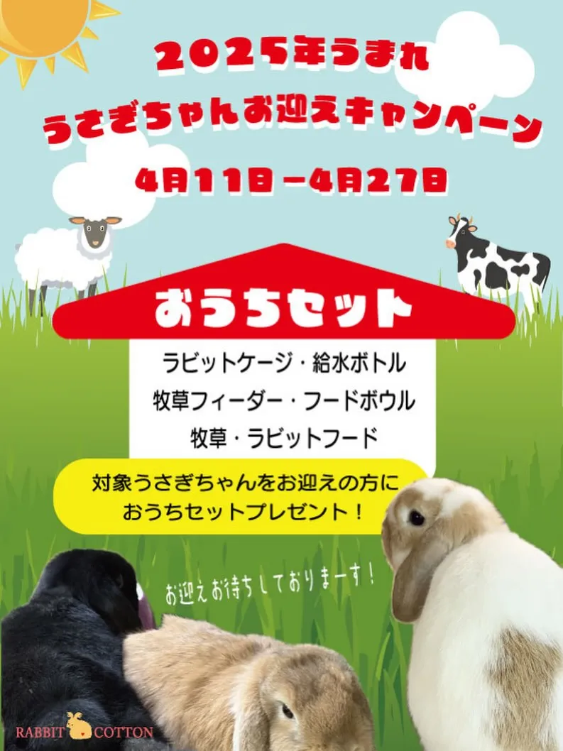 ⭐︎2025年うまれ⭐︎