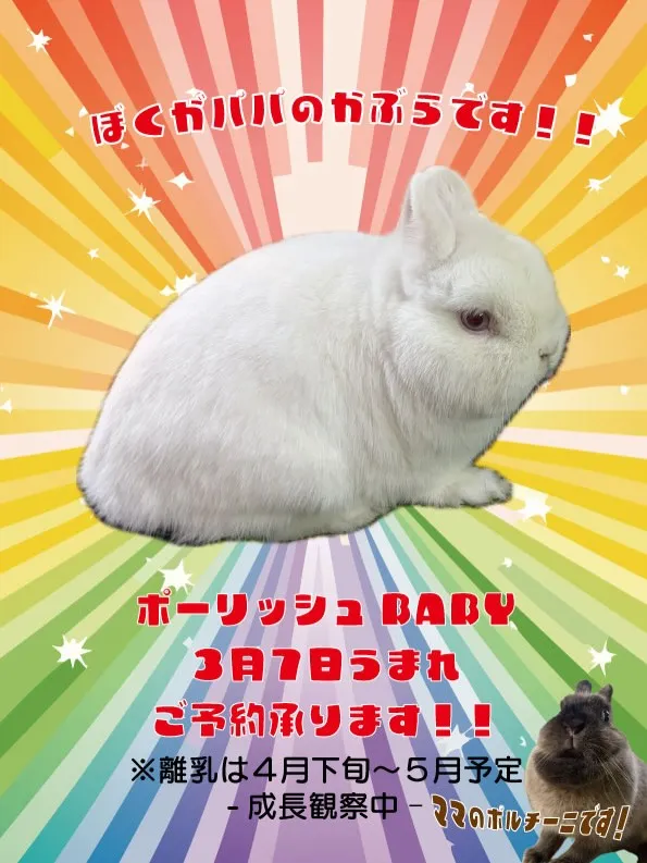 ⭐︎かぶらファミリー⭐︎