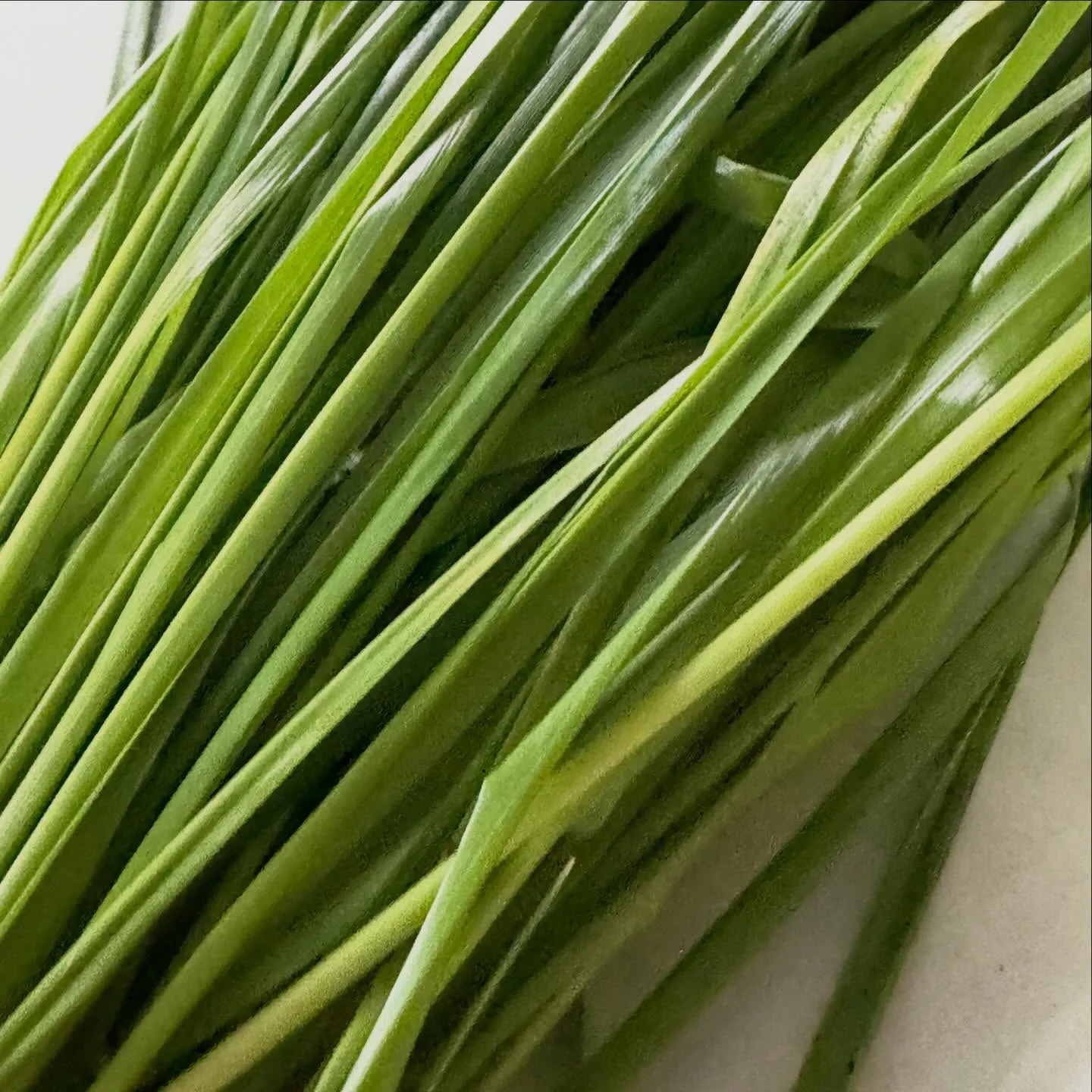 ⭐︎千葉県産生イタリアン⭐︎