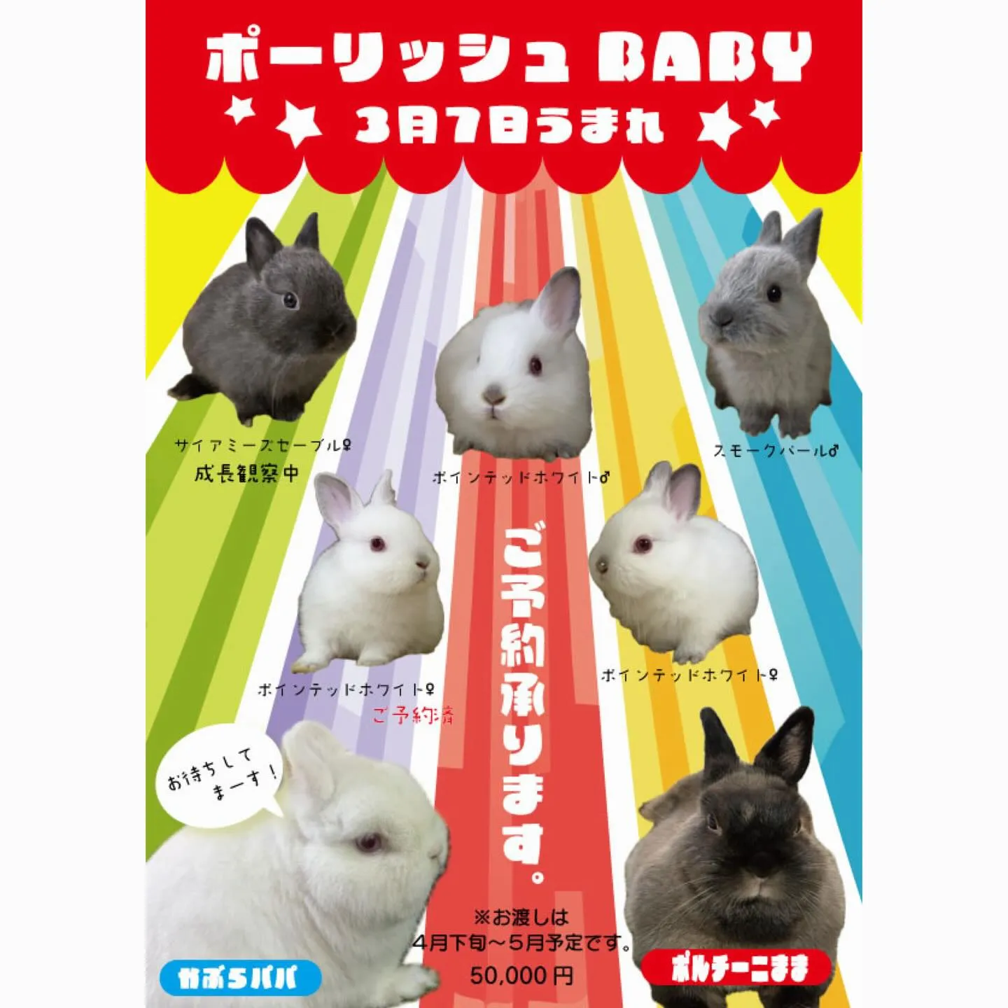 ⭐︎ご予約スタート⭐︎