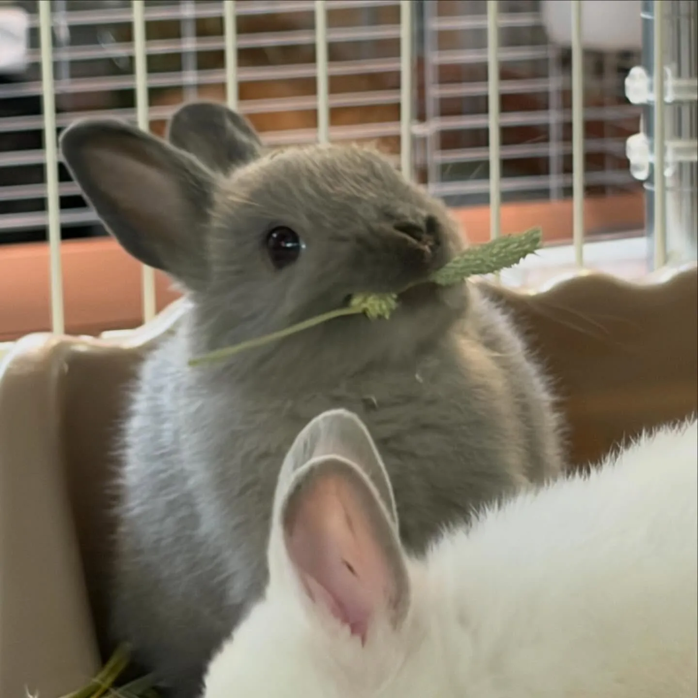 ⭐︎ご予約スタート⭐︎