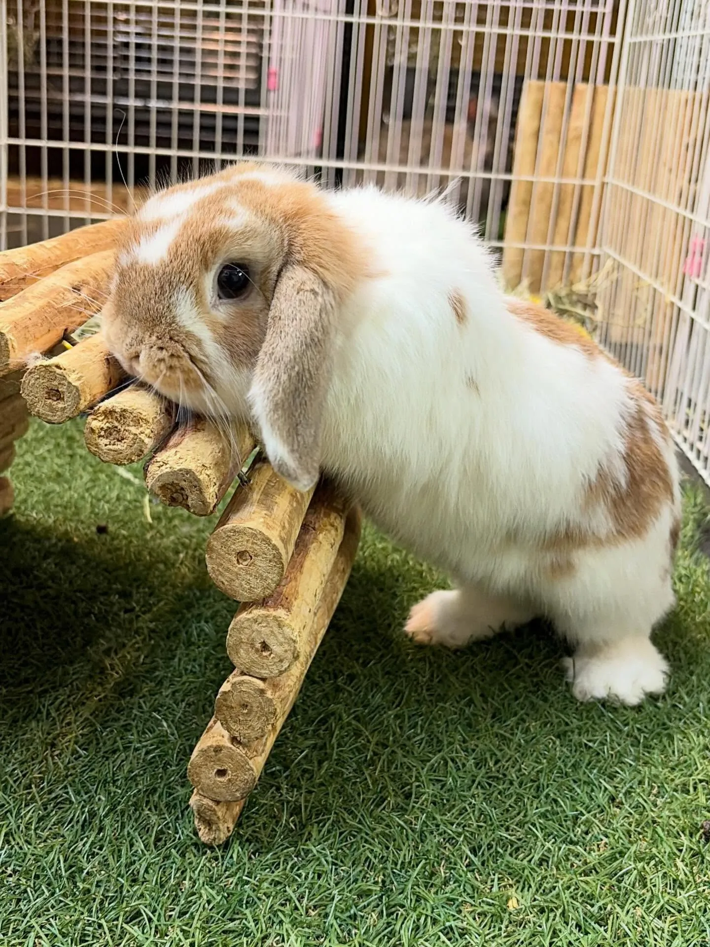 ⭐︎店んぽ⭐︎