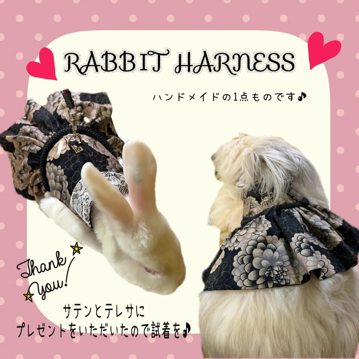 ⭐︎中型うさぎちゃん用ハーネス⭐︎