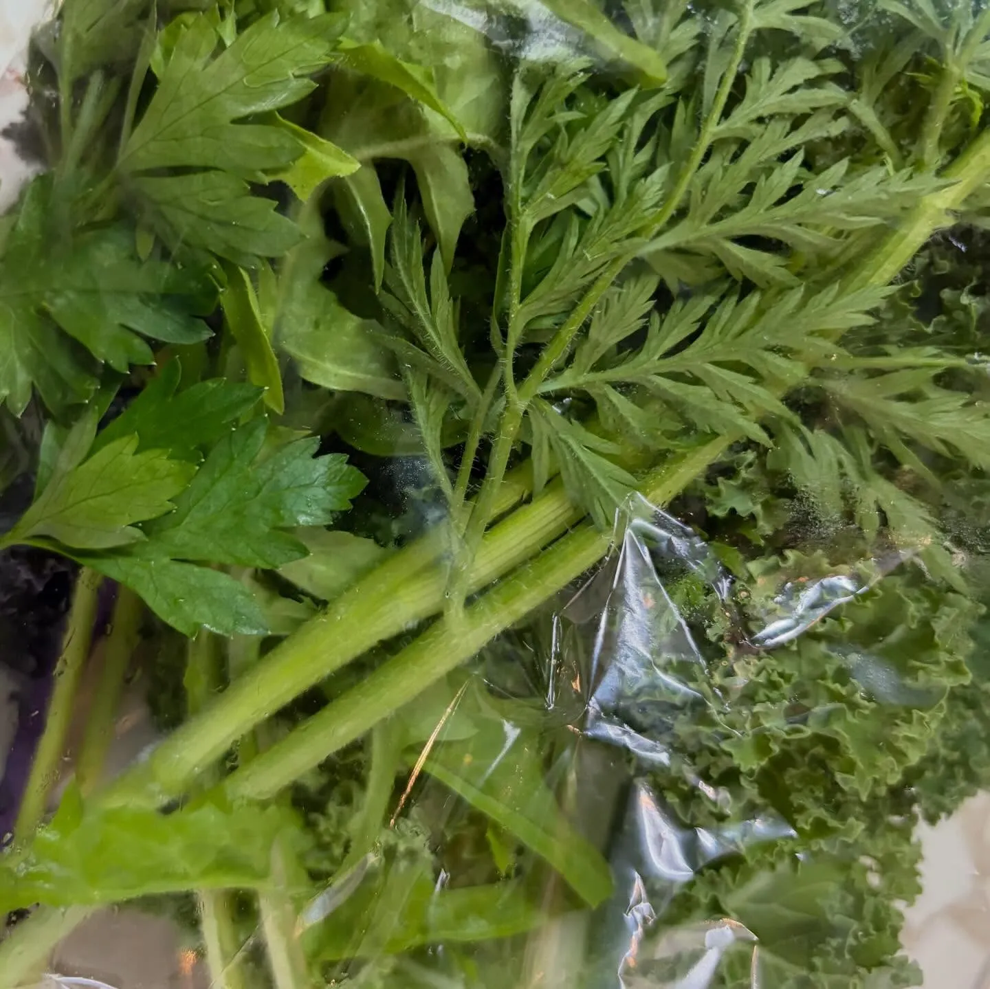 ⭐︎ラキテ葉っぱ⭐︎