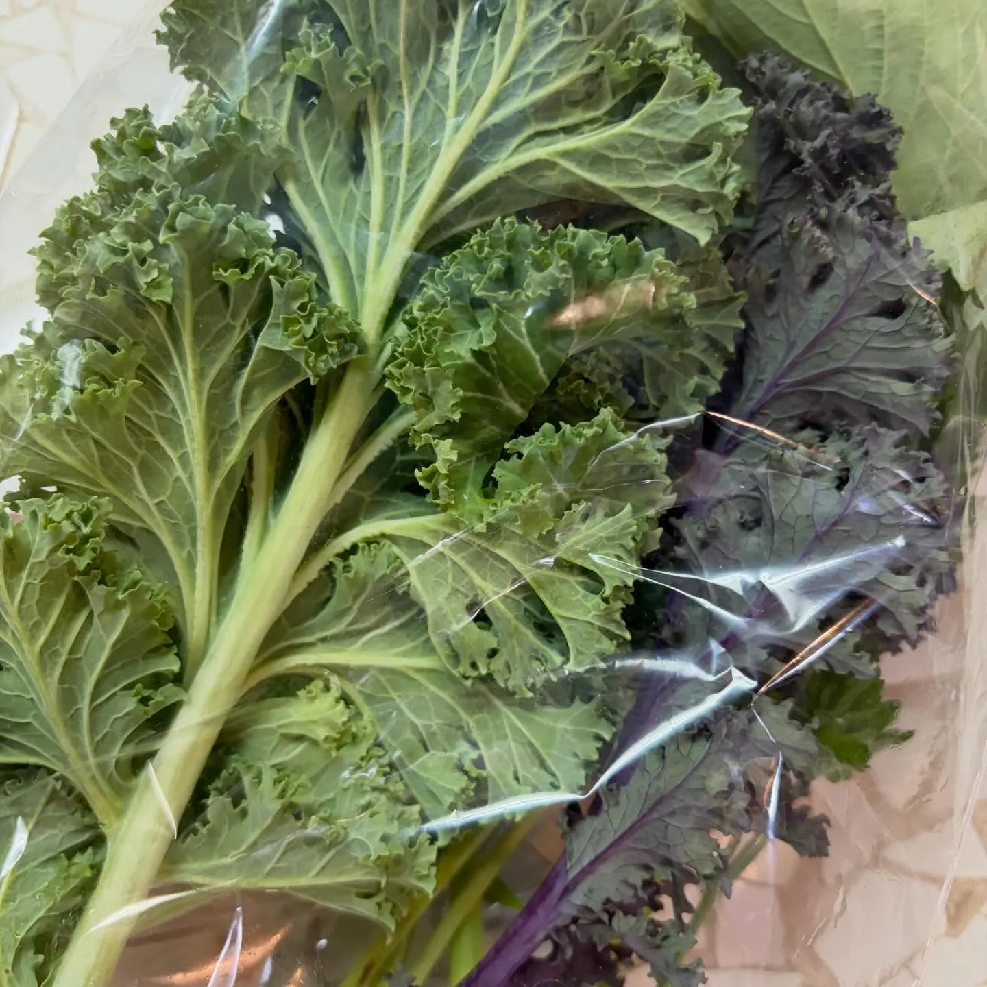 ⭐︎ラキテ葉っぱ⭐︎