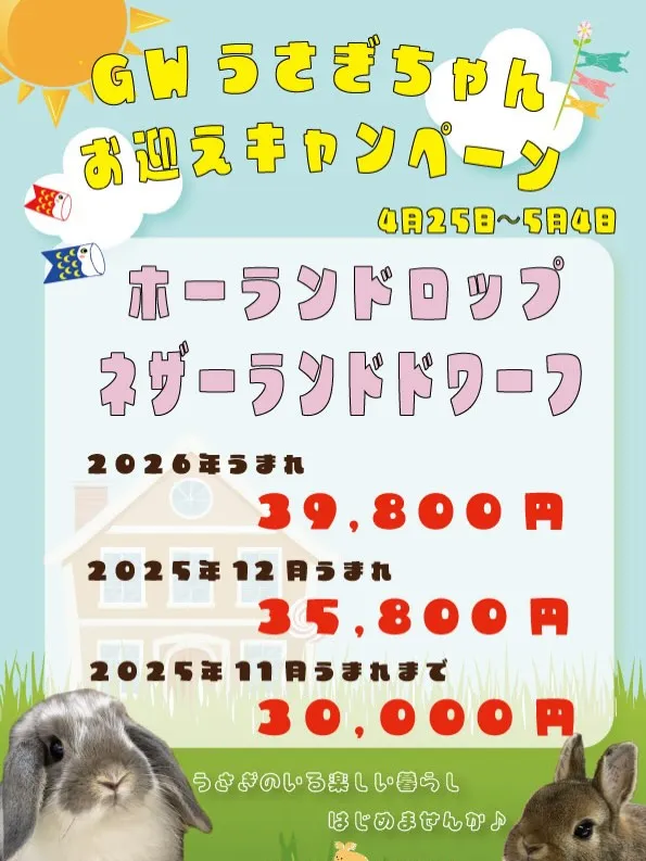 ⭐︎GWセール⭐︎