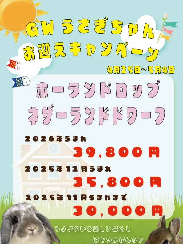 ⭐︎子うさぎ情報⭐︎