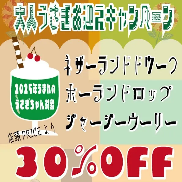 ⭐︎ホーランドロップ⭐︎