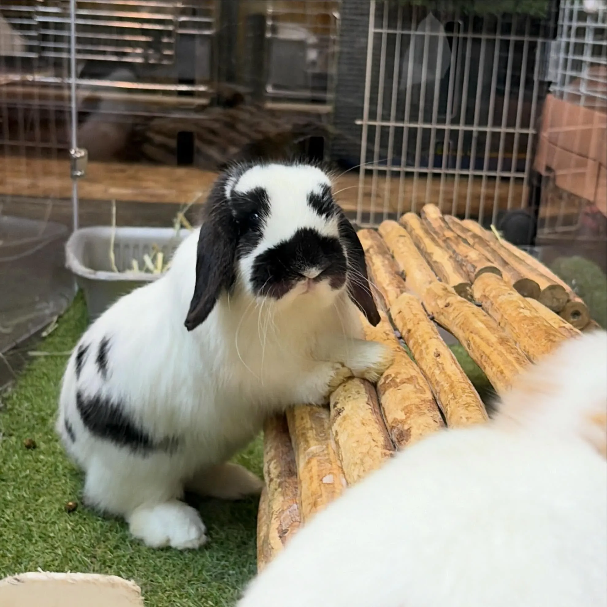 ⭐︎店んぽ⭐︎