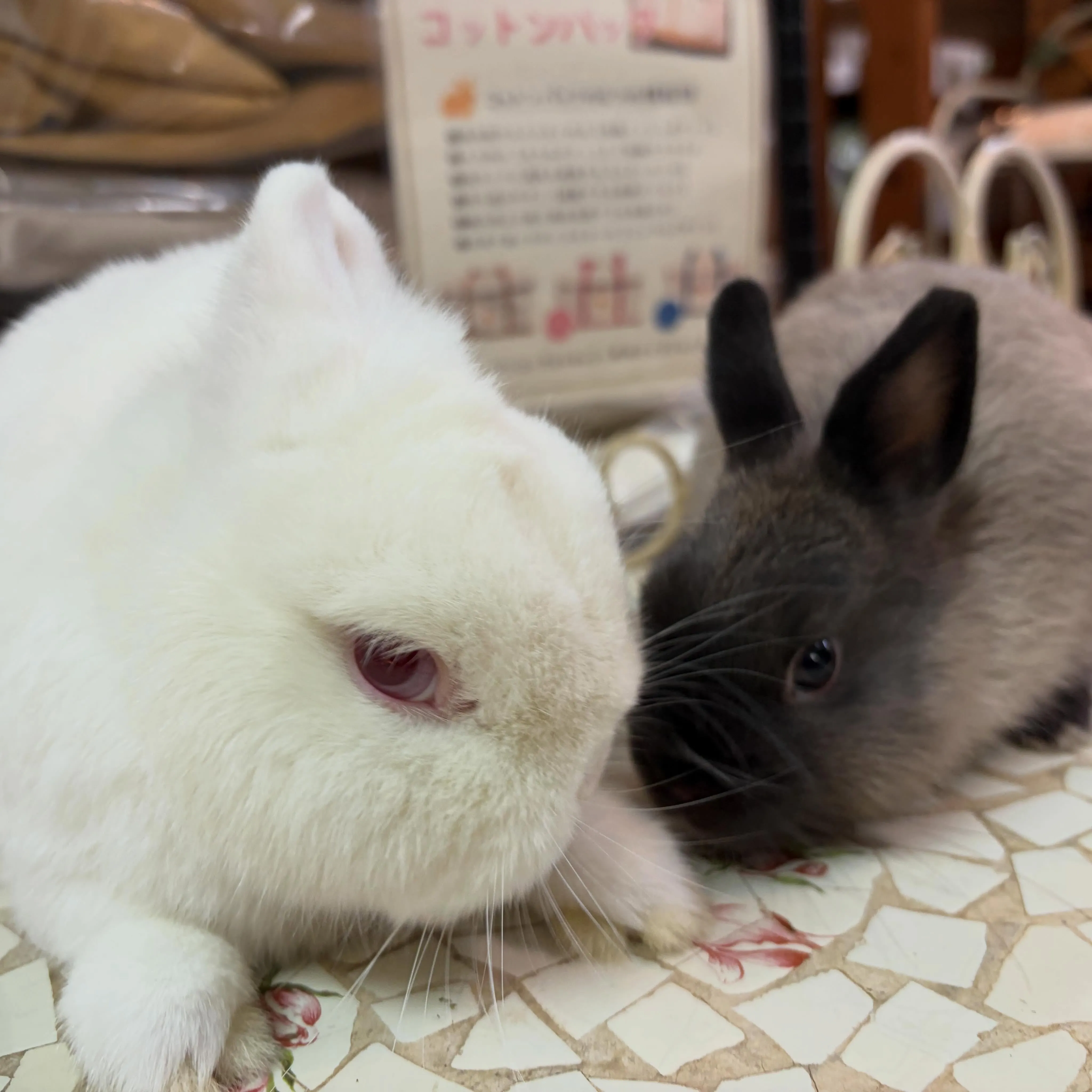 ⭐︎パパと娘⭐︎