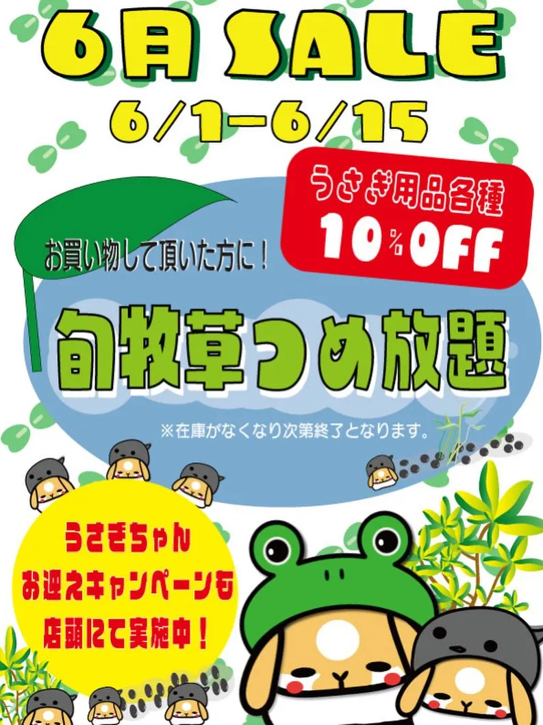 ⭐︎うさぎ用品SALE⭐︎