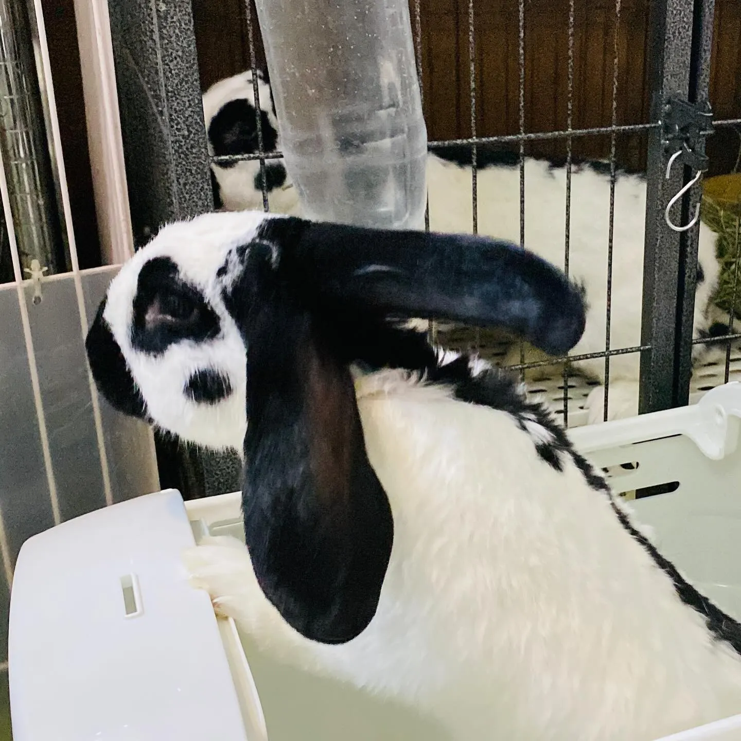 ☆パパと息子☆
