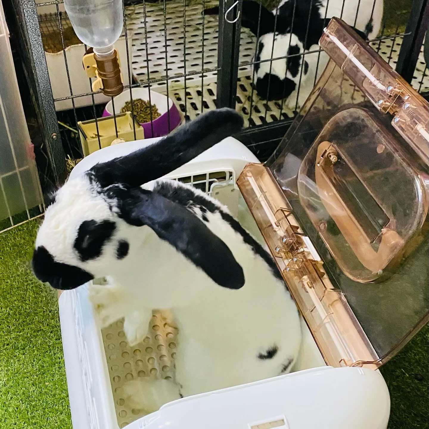 ☆パパと息子☆