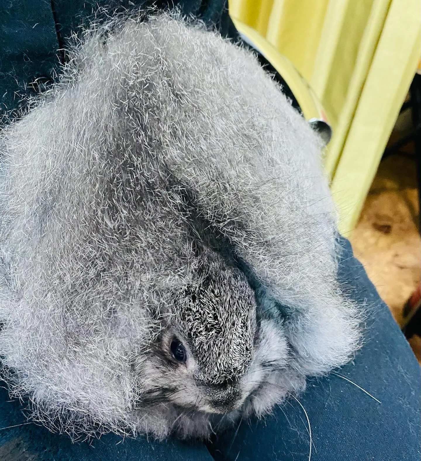 ☆ふわふわ☆