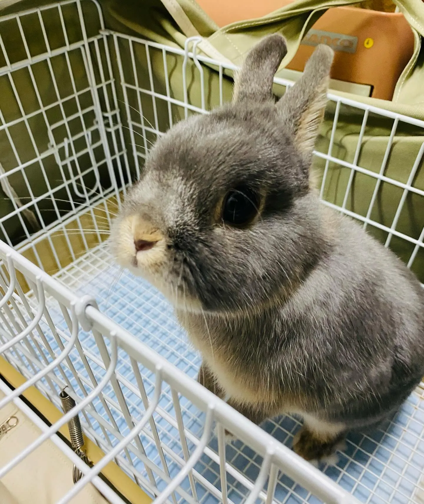 ☆ご来店ありがとう☆