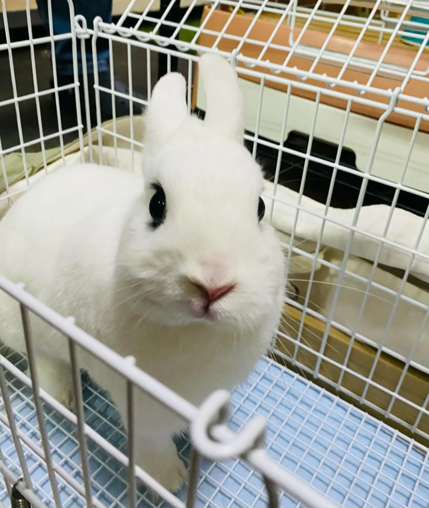 ☆ご来店ありがとう☆