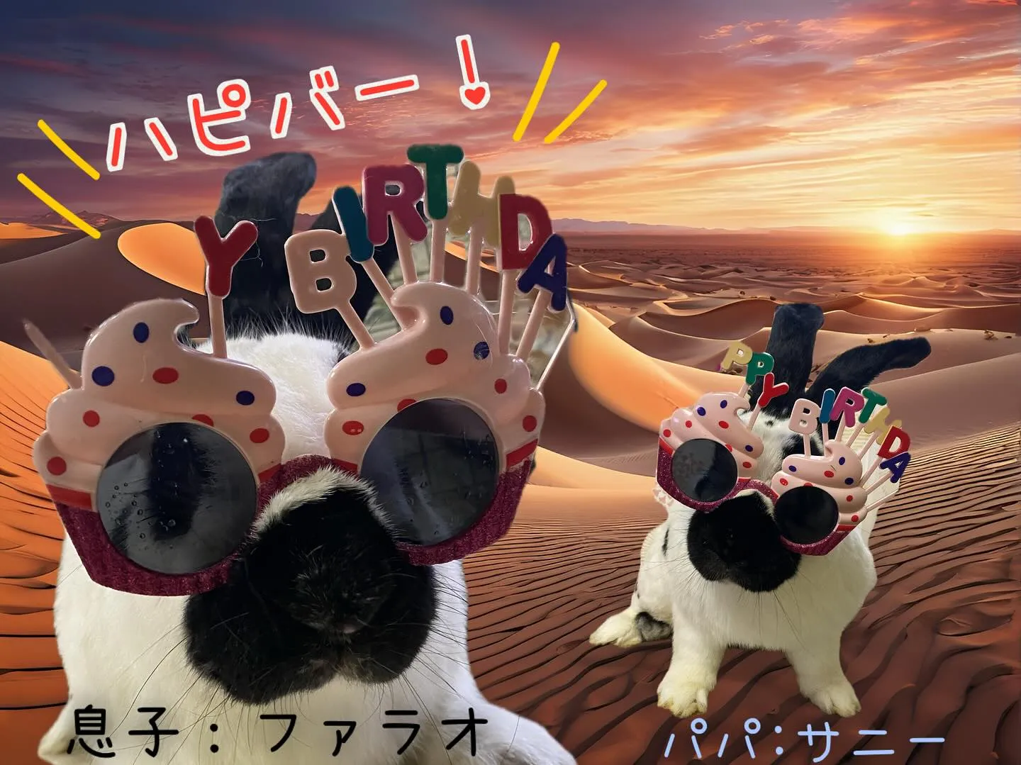 ☆スタッフうさぎ☆