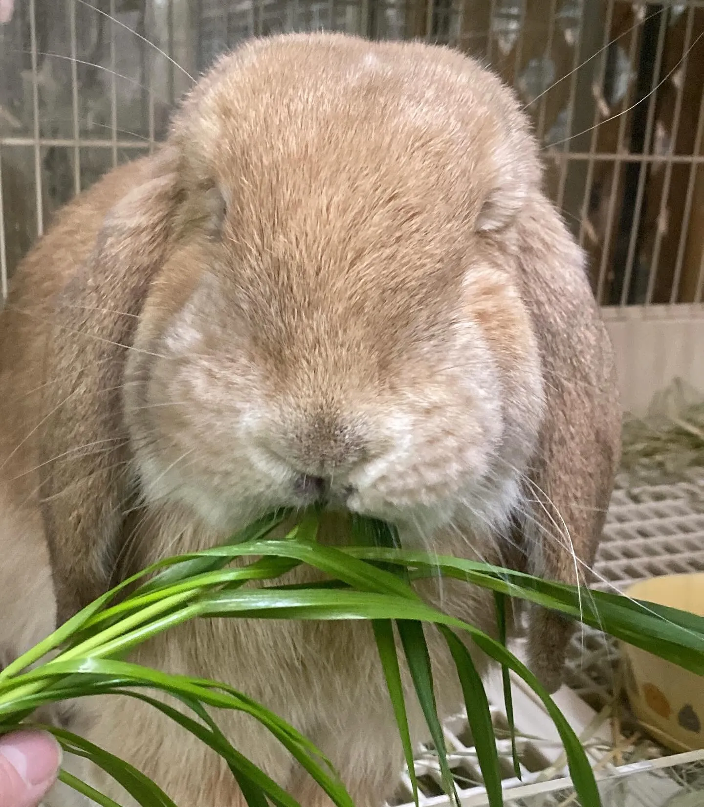 ☆生イタリアン☆